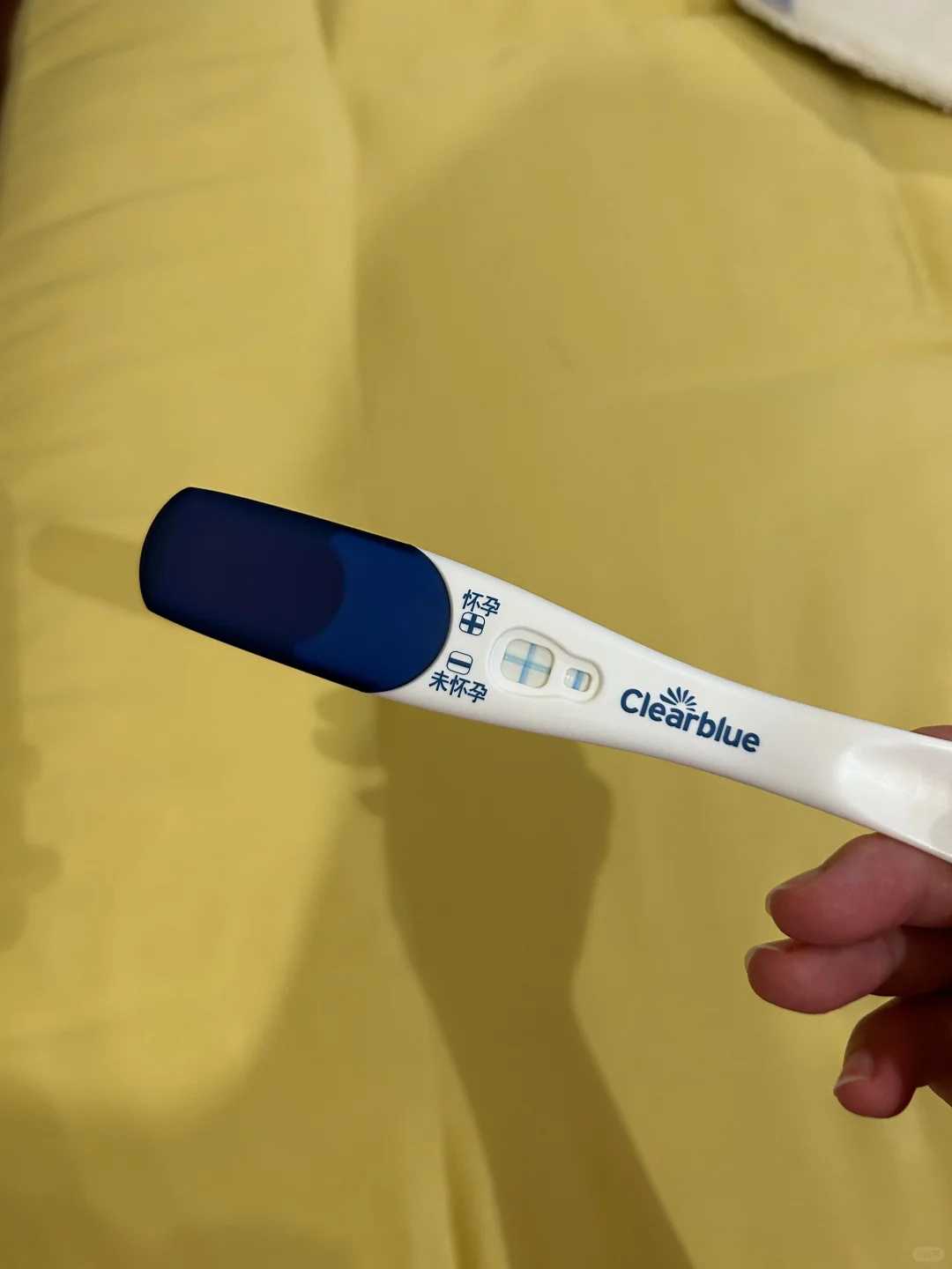 成都借卵子做试管得多少钱